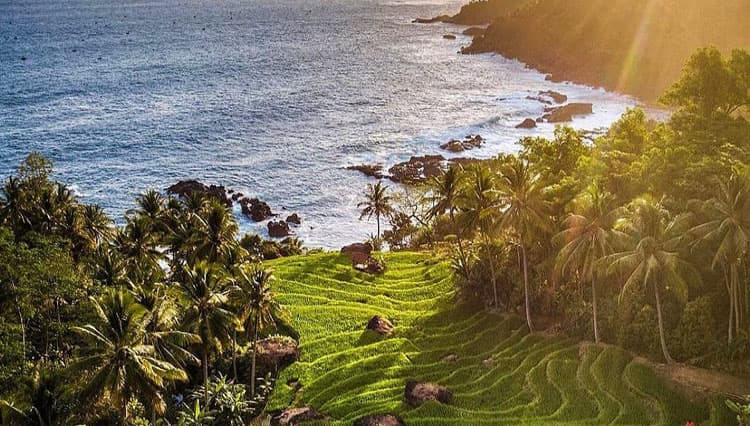 Pesona Pantai Rajaan Trenggalek, Surga Tersembunyi di Pesisir Selatan Jawa