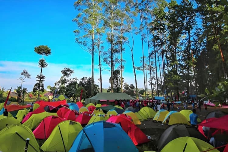 Menikmati Kenyamanan Rekreasi Alam di Buper Cipanten Majalengka