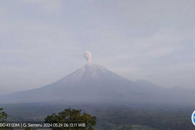 Gunung Semeru Lontarkan Abu Vulkanik hingga 900 Meter