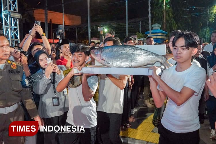 Bandeng 14,6 Kg Juara Kontes Bandeng Kawak Gresik, Laku Rp50 Juta