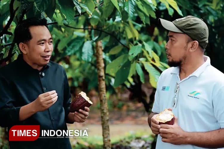 Bupati Jember Fawait Sebut Kakao jadi Potensi Unggulan