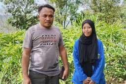 Panen Porang, Petani Ngadirojo Pacitan Raup Cuan Menggiurkan