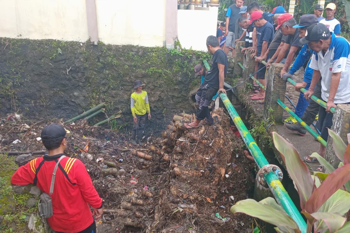 Tetap Waspada! Longsor dan Pohon Tumbang Hampir Tiap Hari di Kabupaten Malang