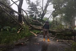 Dua Bibit Siklon di Selatan Jawa Picu Cuaca Ekstrem di Malang Raya