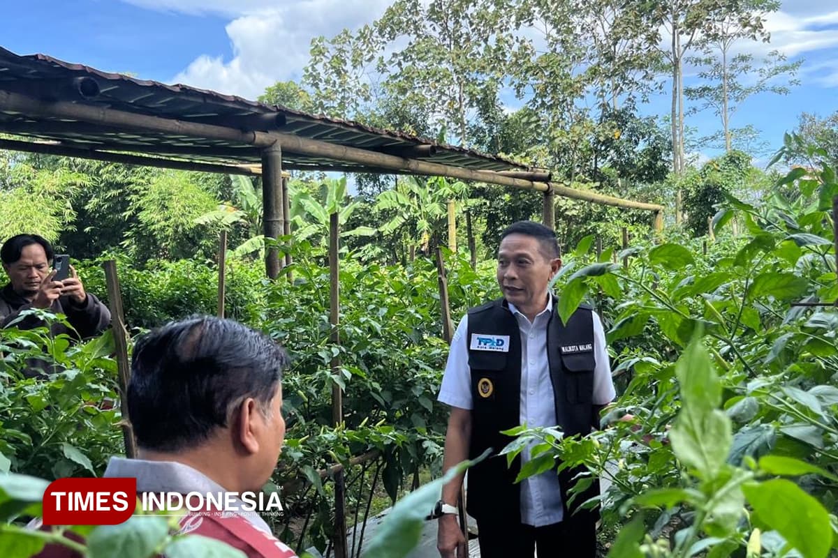 Inflasi Menguat: Harga Cabai Tembus Rp100 Ribu, Pemkot Malang Lakukan Ini