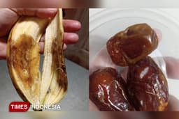 Kota Malang Darurat Menu MBG: Usai Temuan Belatung, Kini Pisang Busuk