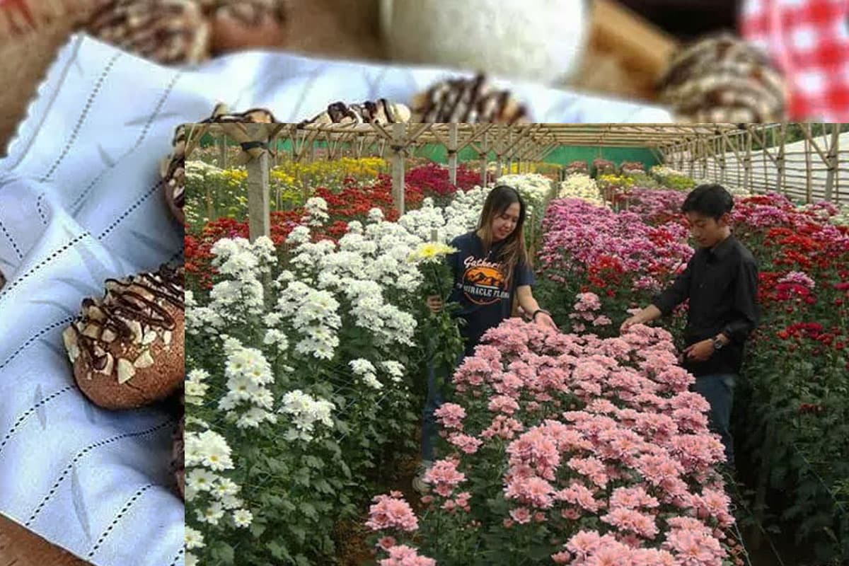 Pasar Bunga Krisan Pasuruan Mampu Tembus Luar Pulau