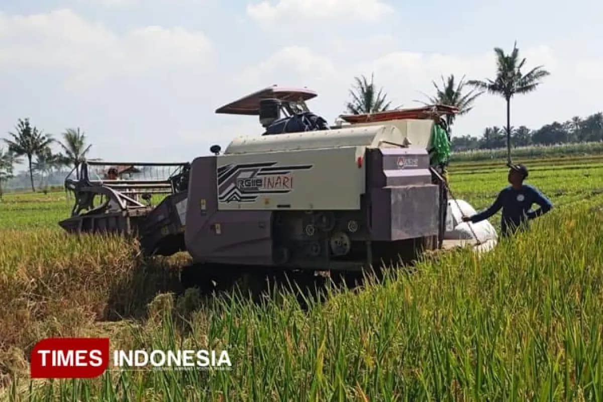 Antisipasi Kekeringan, Dinas Pertanian Kabupaten Malang Gandeng TNI Siagakan Pompa Air di Koramil